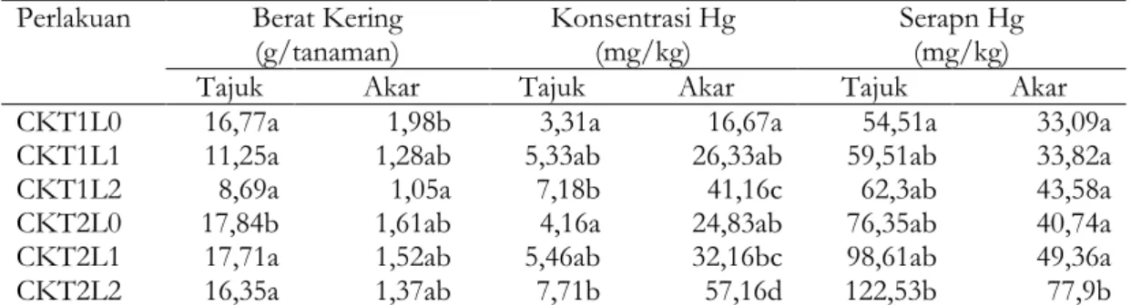 Tabel 2. Serapan Hg pada Akar Cyperus kyllingia  Perlakuan  Berat Kering  