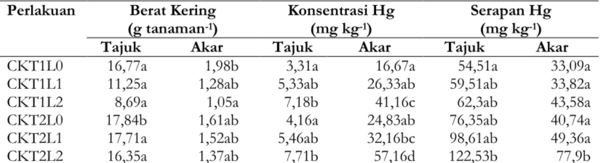 Tabel 2. Serapan Hg pada Akar Cyperus kyllingia Perlakuan Berat Kering