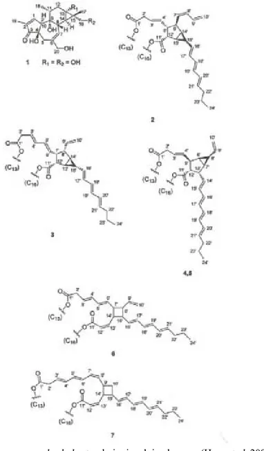 Gambar 2 .Struktur senyawa phorbol ester dari minyak jarak pagar (Hass et al. 2002)  Berbagai metode detoksifikasi telah diupayakan oleh beberapa peneliti, baik perlakuan  biologi, kimia, fisika maupun kombinasi