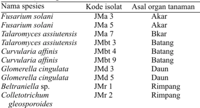 Tabel  1.  Cendawan  endofit  asal  jahe  merah  (Z.  officinale)  (Ginting et al. 2013)