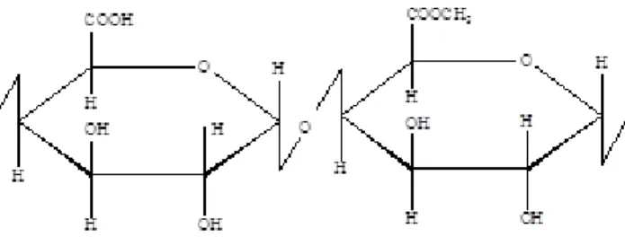 Gambar I. Struktur Molekul Pektin  ( M. Nasril Syah, 2010) 