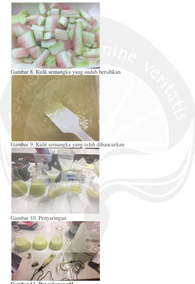 Gambar 8. Kulit semangka yang sudah bersihkan 