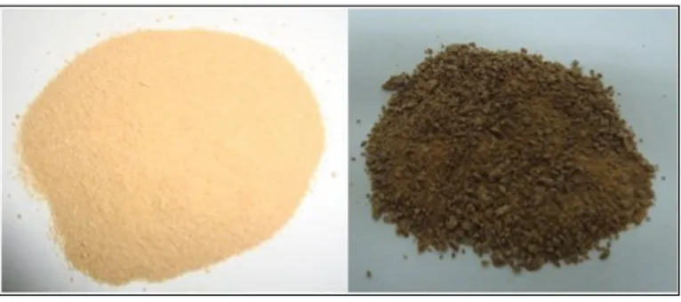 Gambar 7. Perbandingan warna pektin komersial (a)  dan pektin dari kulit kakao (b)  