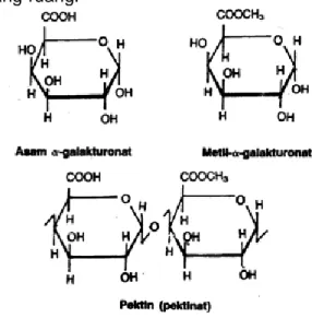 Gambar 2.2 Struktur Senyawa Pektin  Pektin  mempunyai  sifat  terdispersi  dalam  air, dan seperti halnya asam pektat