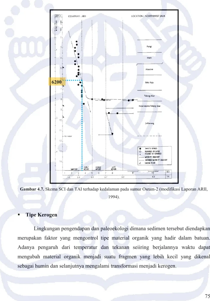 Gambar 4.7. Skema SCI dan TAI terhadap kedalaman pada sumur Osram-2 (modifikasi Laporan ARII,  1994)