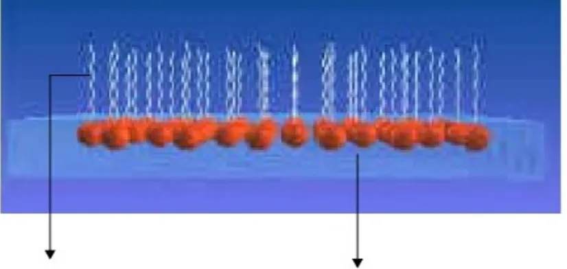 Gambar 1. Perkiraan struktur monomer lignin (Areskogh, 2011)