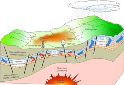 Gambar 2. Penampang Geotermal 