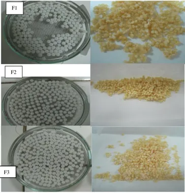 Gambar 1.  Foto mikropartikel  ketoprofen-kitosan (A: sebelum  pengeringan, B : setelah pengeringan) 