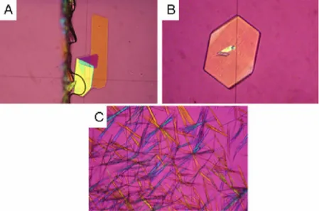 Gambar 2. Mikrofoto polarisasi reaksi kristalisasi antara larutan jenuh A) SMZ dan B) TMP dalam  pelarut metanol, yang menghasilkan kristal C) hasil interaksi TMP-  SMZ dengan habit  jarum