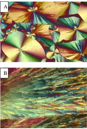Gambar 1. Mikrofoto habit kristal  nikotinamida (A) dan  trimetoprim (B). 