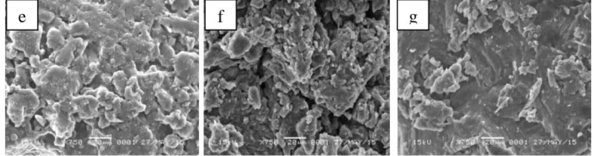 Gambar 5.3 Mikrofoto SEM serbuk: (a) GMP (0,5-5 µm), (b) P407 (25-325 µm),  (c)  Laktosa  (10-75  µm),  (d)  campuran  fisika  GMP-PL,  (e)  dispersi  padat  GMP-PL  (1:1)  dari  perlakuan  SE  (10-30  µm),  (f)  dispersi  padat  GMP-PL  (1:1)  dari  perla