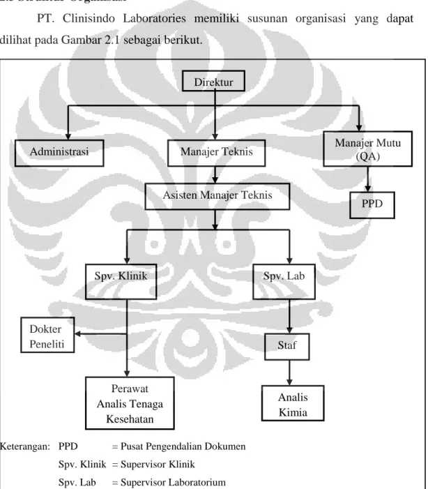 Gambar 2.1  Struktur organisasi PT. Clinisindo Laboratories Direktur 