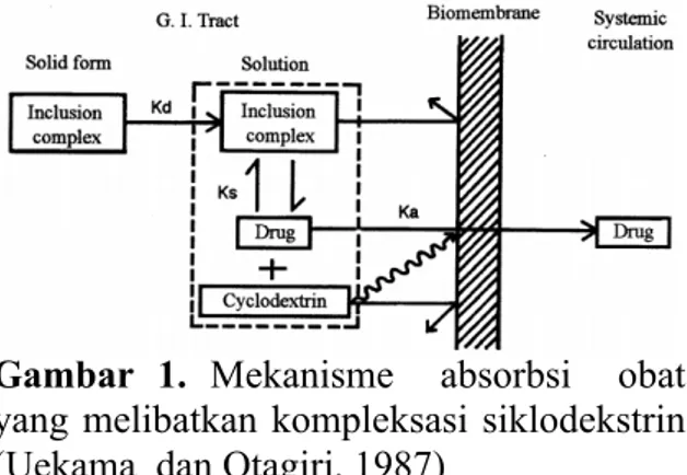 Gambar  1.  Mekanisme    absorbsi    obat   yang melibatkan kompleksasi siklodekstrin  (Uekama  dan Otagiri, 1987) 