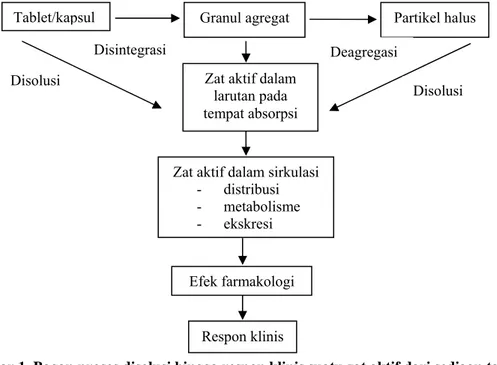 Gambar 1. Bagan proses disolusi hingga respon klinis suatu zat aktif dari sediaan tablet atau  kapsul (Siregar dan Wikarsa, 2010) 