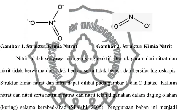Gambar 1. Struktur Kimia Nitrat    Gambar 2. Struktur Kimia Nitrit  Nitrit adalah senyawa nitrogen yang reaktif