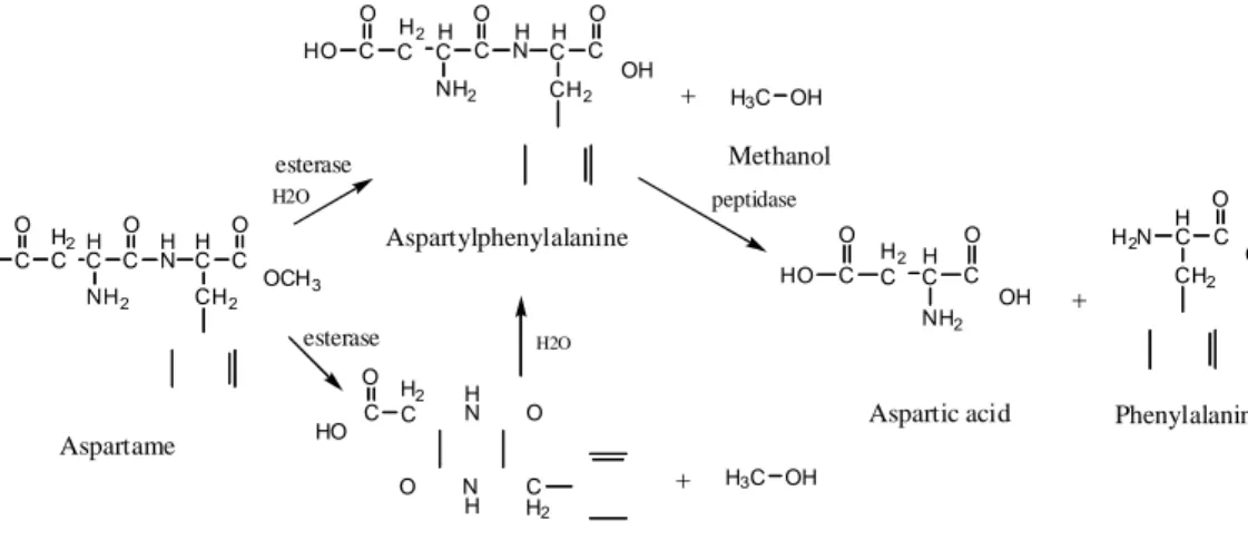 Gambar 2.   Prinsip konversi produk aspartam (Butchko, 2001). 