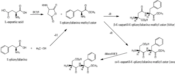 Gambar 4.   Reaksi sintesis pembentukan aspartam (Belitz, 2009). 