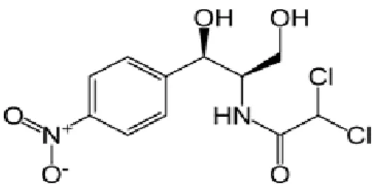 Gambar 2.1. Struktur bangun kloramfenikol 