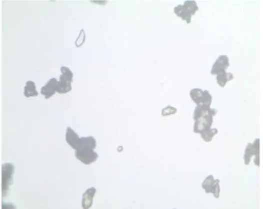 Gambar  10.  Mikroskopis  Mikrokapsul  2,4-Diklorofenoksi  Asetat  Formula-2 Perbesaran 40x 