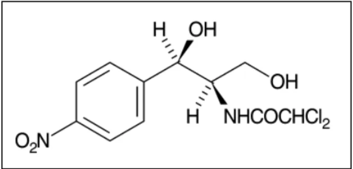 Gambar 1. Struktur kloramfenikol 