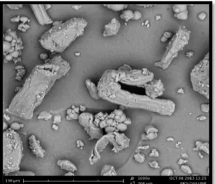 Gambar  1.  Foto  scanning  electron  microscopy serbuk Isonoazid. 