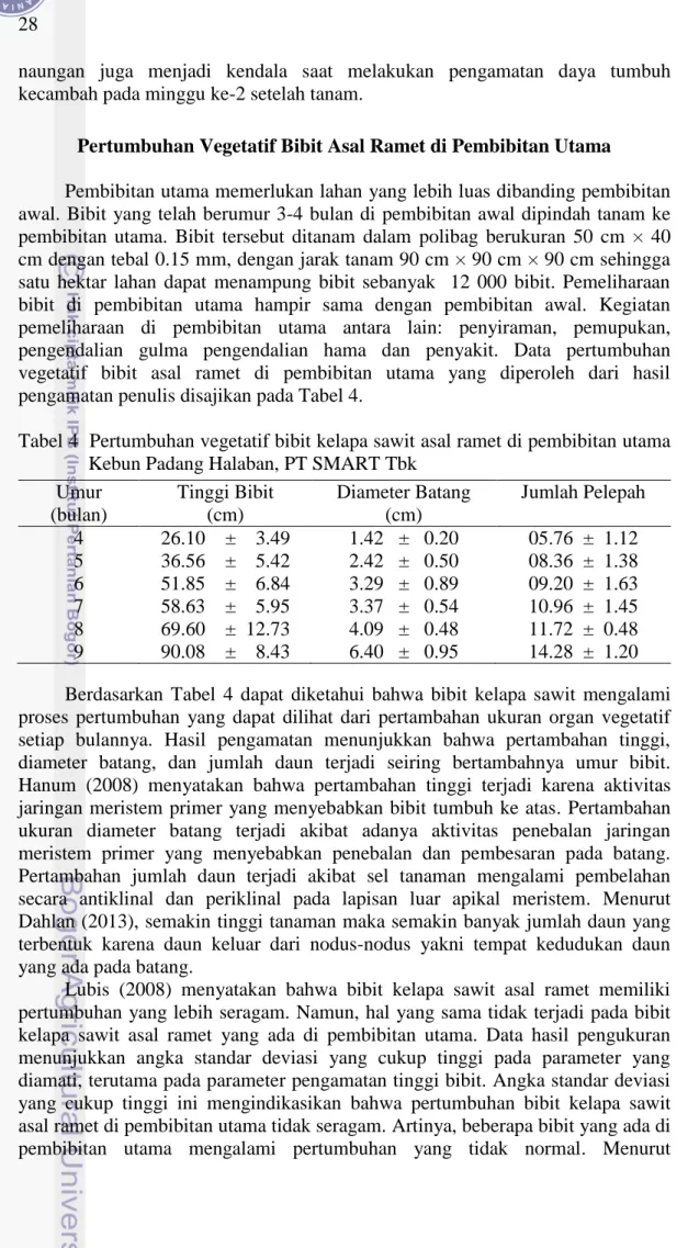 Tabel 4  Pertumbuhan vegetatif bibit kelapa sawit asal ramet di pembibitan utama  Kebun Padang Halaban, PT SMART Tbk 