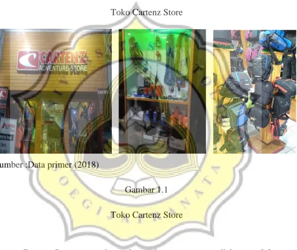 Gambar 1.1  Toko Cartenz Store 
