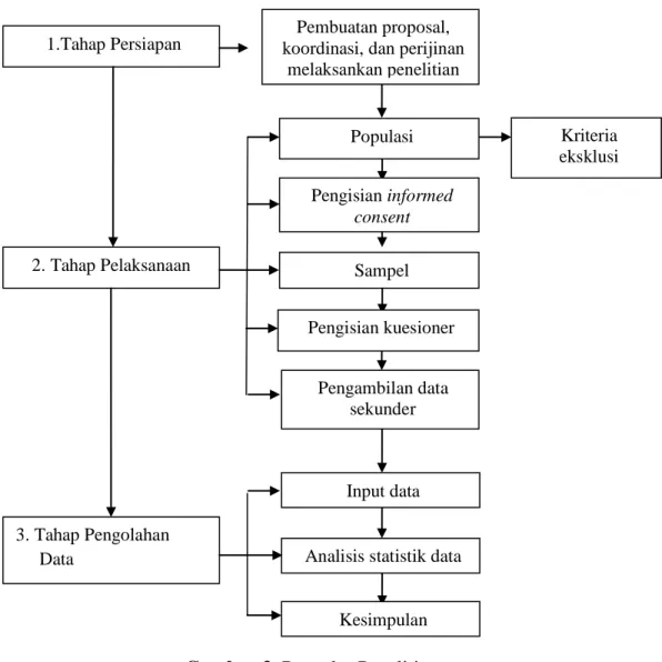 Gambar 3. Prosedur Penelitian 