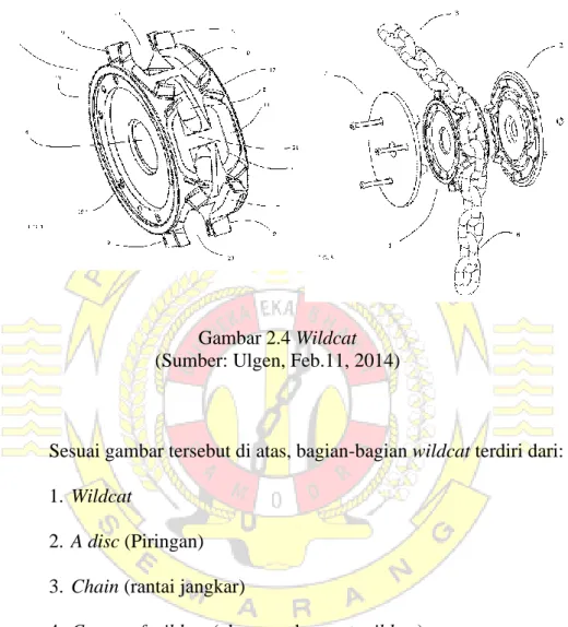 Gambar 2.4 Wildcat  (Sumber: Ulgen, Feb.11, 2014) 