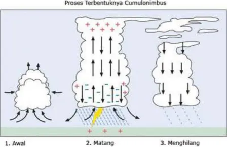 Gambar 3. Proses pembentukan awan cumulonimbus (Cb). 