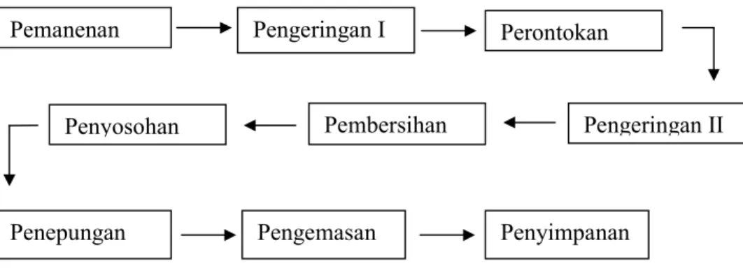 Gambar 2. Bagan Alir Penanganan Pasca Panen Juwawut (Sutanto, 2006)  Uraian kegiatan kegiatan pasca panen telah tercantum di bawah ini: 