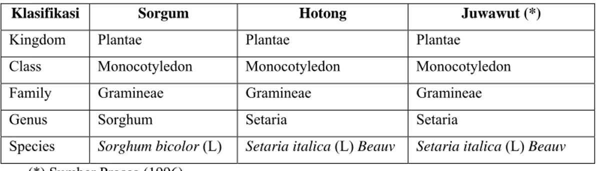 Tabel 2. Taksonomi tanaman sorgum, hotong, juwawut 