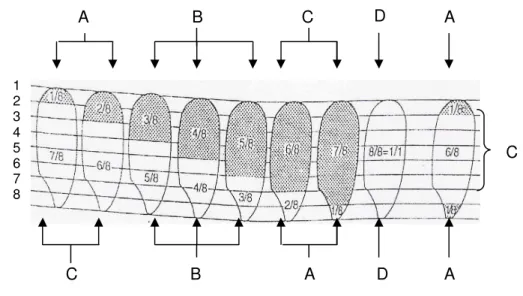 Gambar 1 -  Bagian-bagian beras 