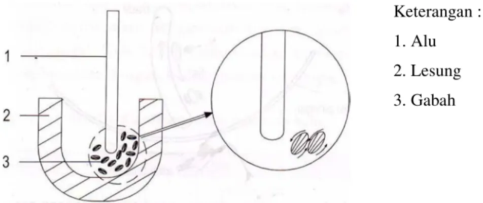 Gambar 4. Skema pengupasan sekam dengan handmill (Waries, 2006).   