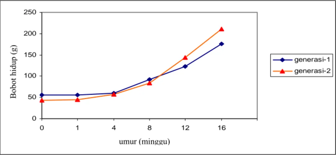 Gambar 2. Pertumbuhan itik Alabio generasi-1 dan generasi-2 berdasarkan model persamaan regresi polinom kubik 