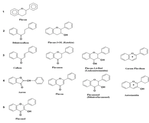 Gambar 4. Tingkat oksidasi senyawa flavonoid (Manitto,1992). 