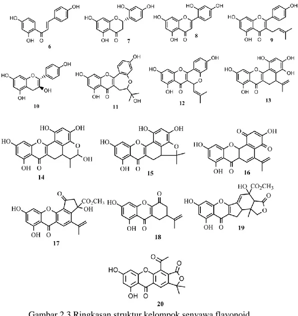 Gambar 2.3 Ringkasan struktur kelompok senyawa flavonoid 