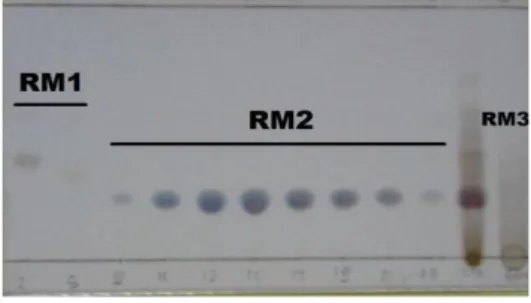Gambar 4.4 Kromatogram monitoring dengan  KLT fraksi N7 