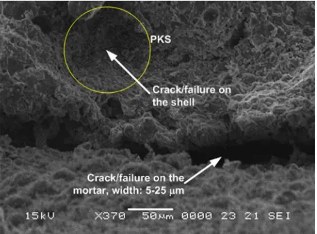 Fig. 9. SEM image of the mixture with PKS size A after compression test.