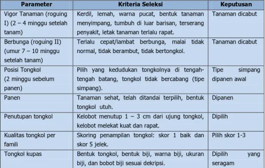 Tabel 16. Cara Seleksi Pertanaman untuk produksi Jagung klas BD/FS, 2015. 