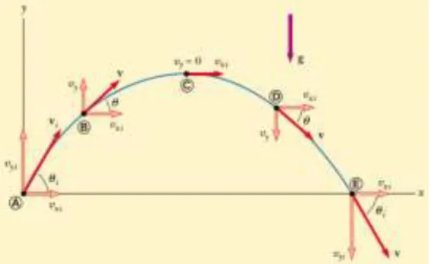 Gambar 3. Vektor gerak parabola. 