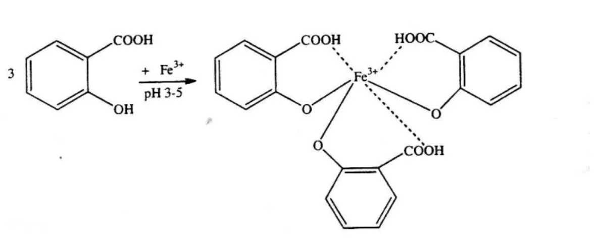 Gambar 2. Reaksi pembentukan kompleks warna besi salisilat   (Sudjadi, 2004) 