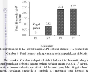 Gambar 4  Total hemosit udang vaname selama perlakuan sinbiotik 