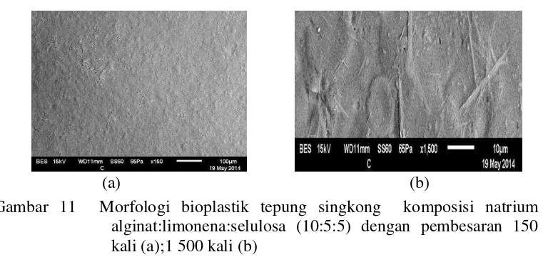 Gambar 11  Morfologi bioplastik tepung singkong  komposisi natrium 