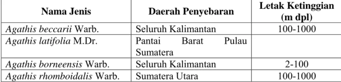 Tabel 1. Daerah Penyebaran Jenis Agathis di Indonesia. 