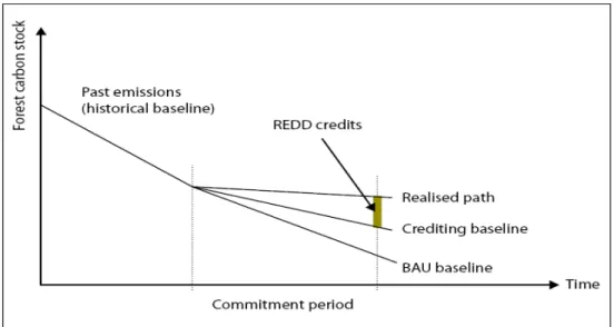 Gambar 13 BAU dan Baseline kredit (Adaptasi dari Angelsen 2008) Evaluasi Model