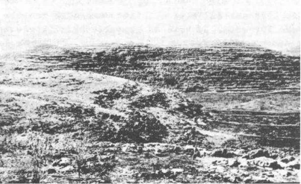 Gambar  1.1.  Kondisi  Gunungkidul  Tahun  1953  (Sumber:  Timmer,  2004; 