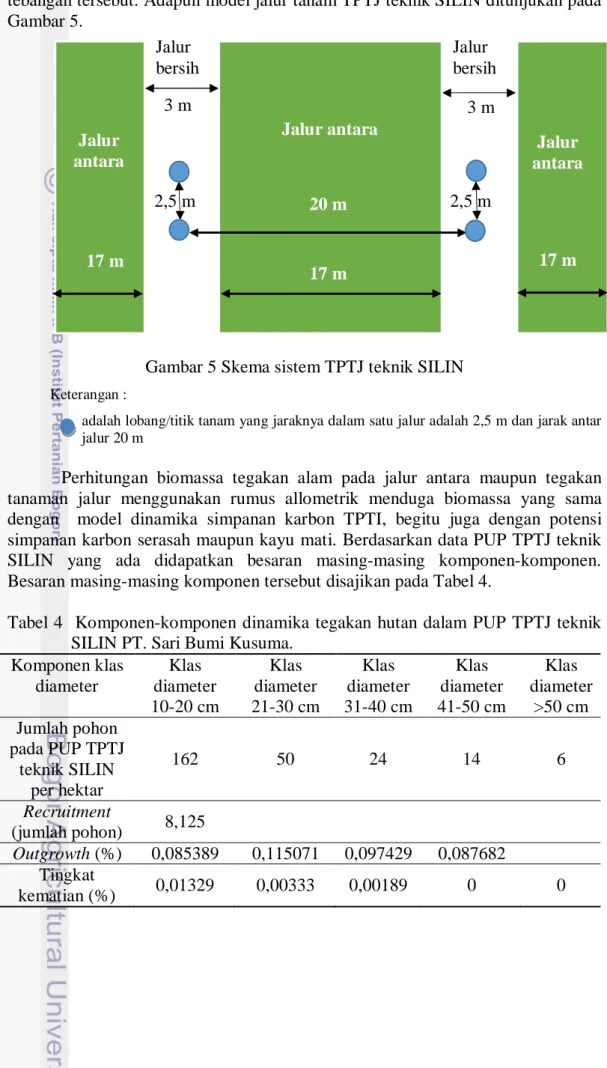 Tabel 4   Komponen-komponen dinamika tegakan hutan dalam PUP TPTJ teknik  SILIN PT. Sari Bumi Kusuma
