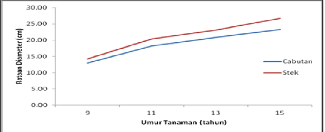 Figure 1. Curve of diameter growth of meranti tembaga (S. leprosula Miq.) aged 9-15 years, based  on periodic measurement data (2 years)