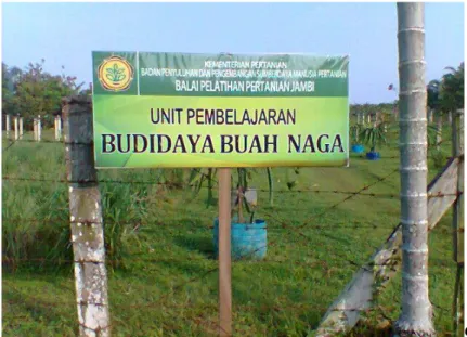 Foto 2. Papan Nama Pengenal Penelitian/Kajiwidya Buah Naga 